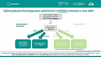 Analýza výkonnosti screeningu kolorektálního karcinomu v ČR: prosinec 2022